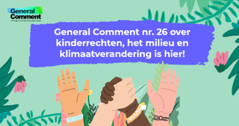 General comment 26