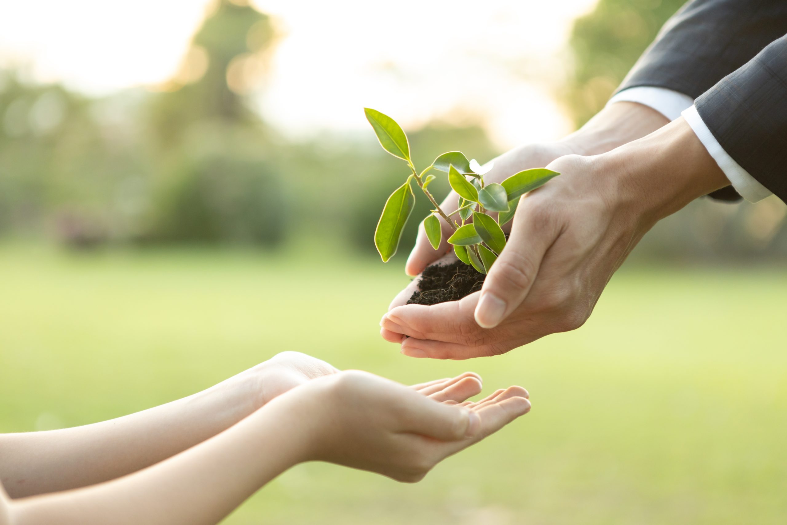 Presentatie onderzoek ‘Klimaat’ & viering 2 jaar State of Youth NL
